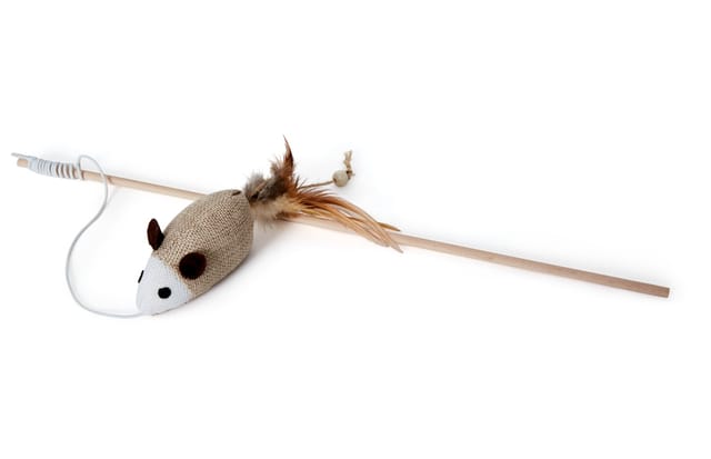 Fishing Rod