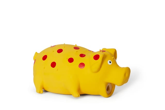 Grunting Pig