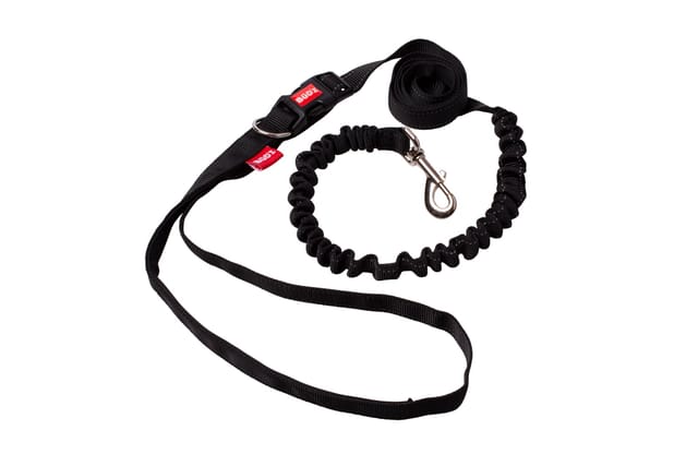 6ft Running Leash