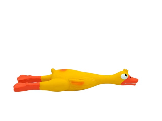 Hysterical Duck