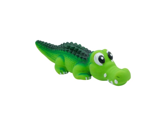 Alligator