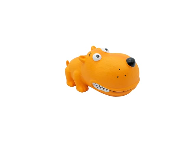 Big Snout