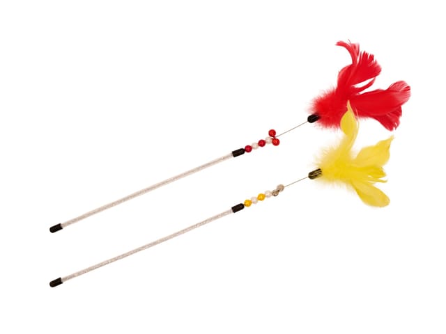 Feather Duster