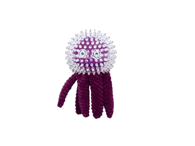 Spikey Octopus