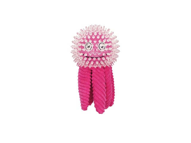 Spikey Octopus