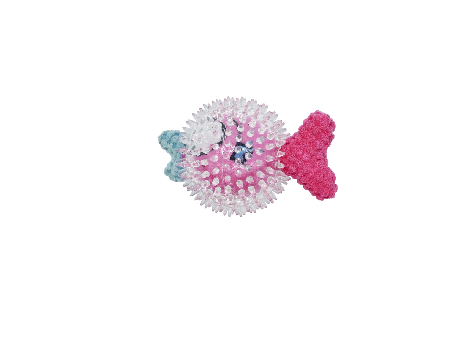 Spikey Fish
