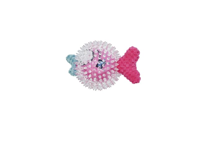 Spikey Fish