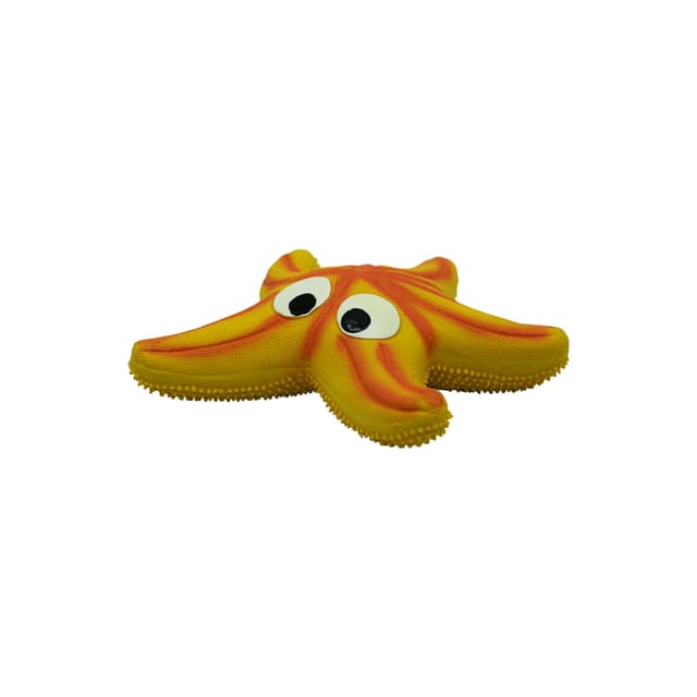 Starfish
