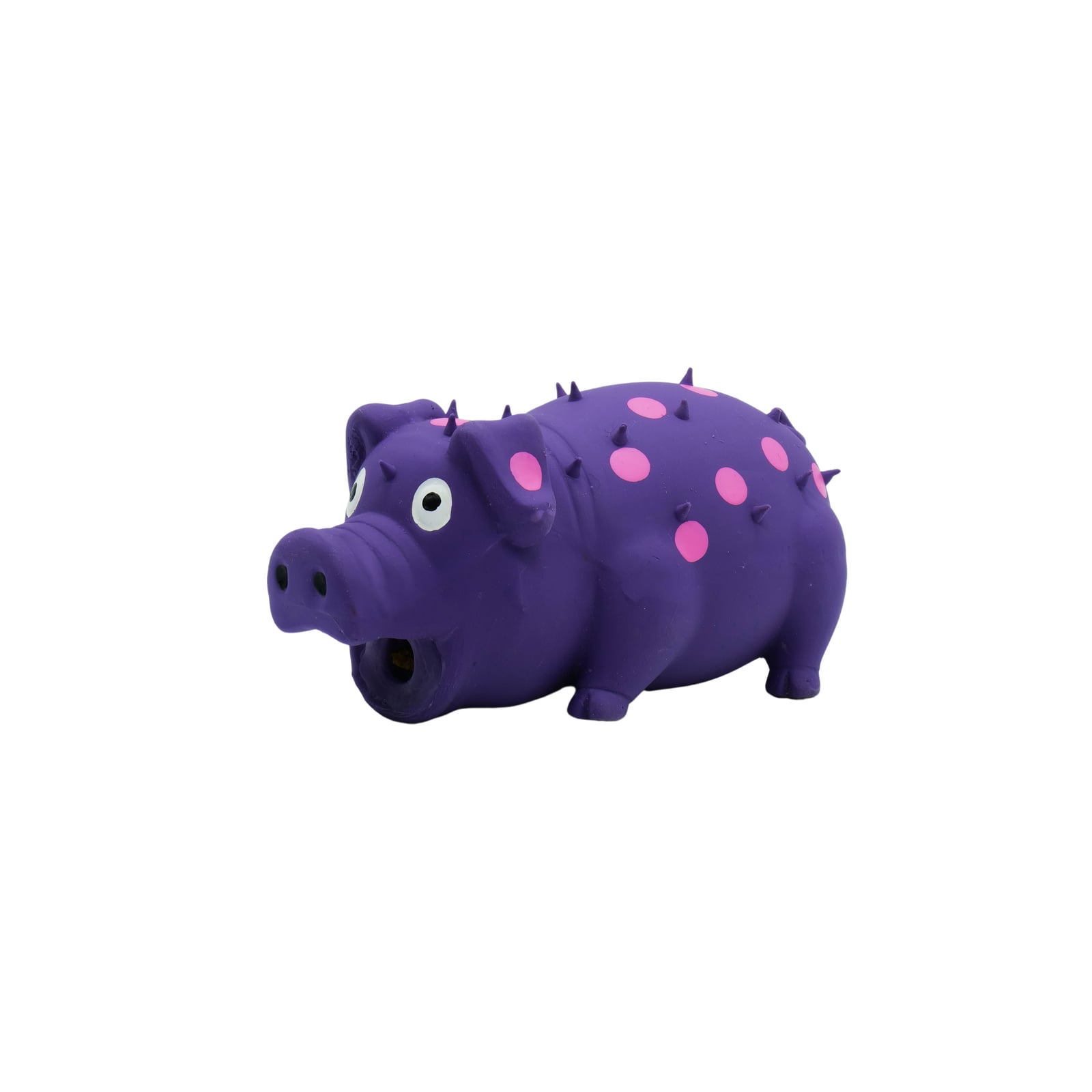 Grunting Pig