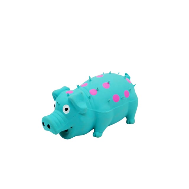 Grunting Pig