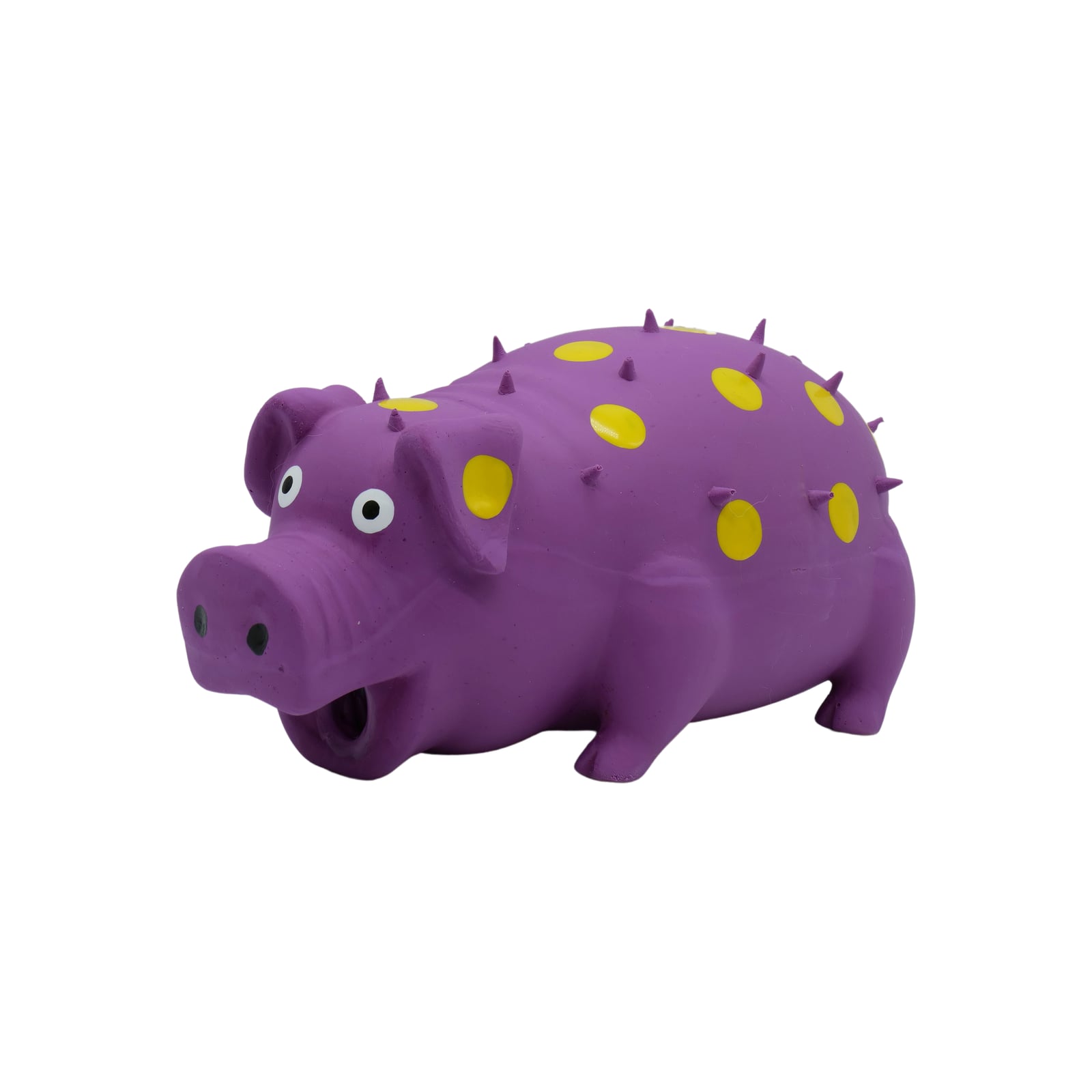 Grunting Pig