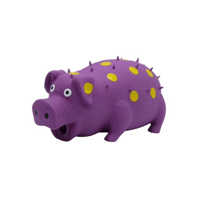 Grunting Pig