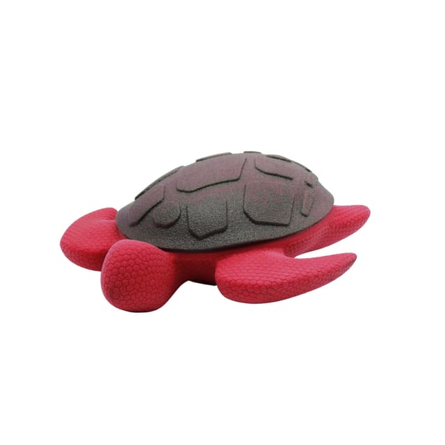 Floating Turtle