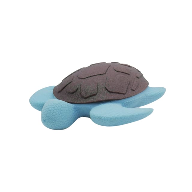 Floating Turtle