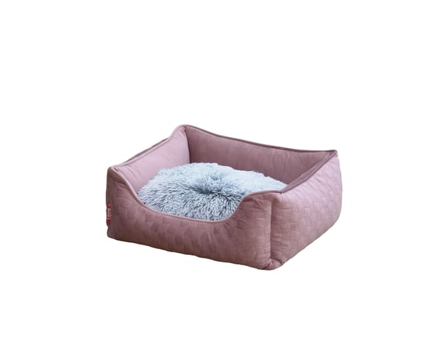 Cosmos Cuddler Bed